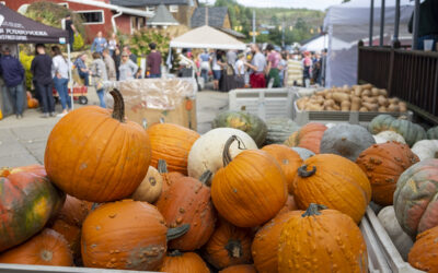 15 Must See Pennsylvania Fall Festivals in 2024