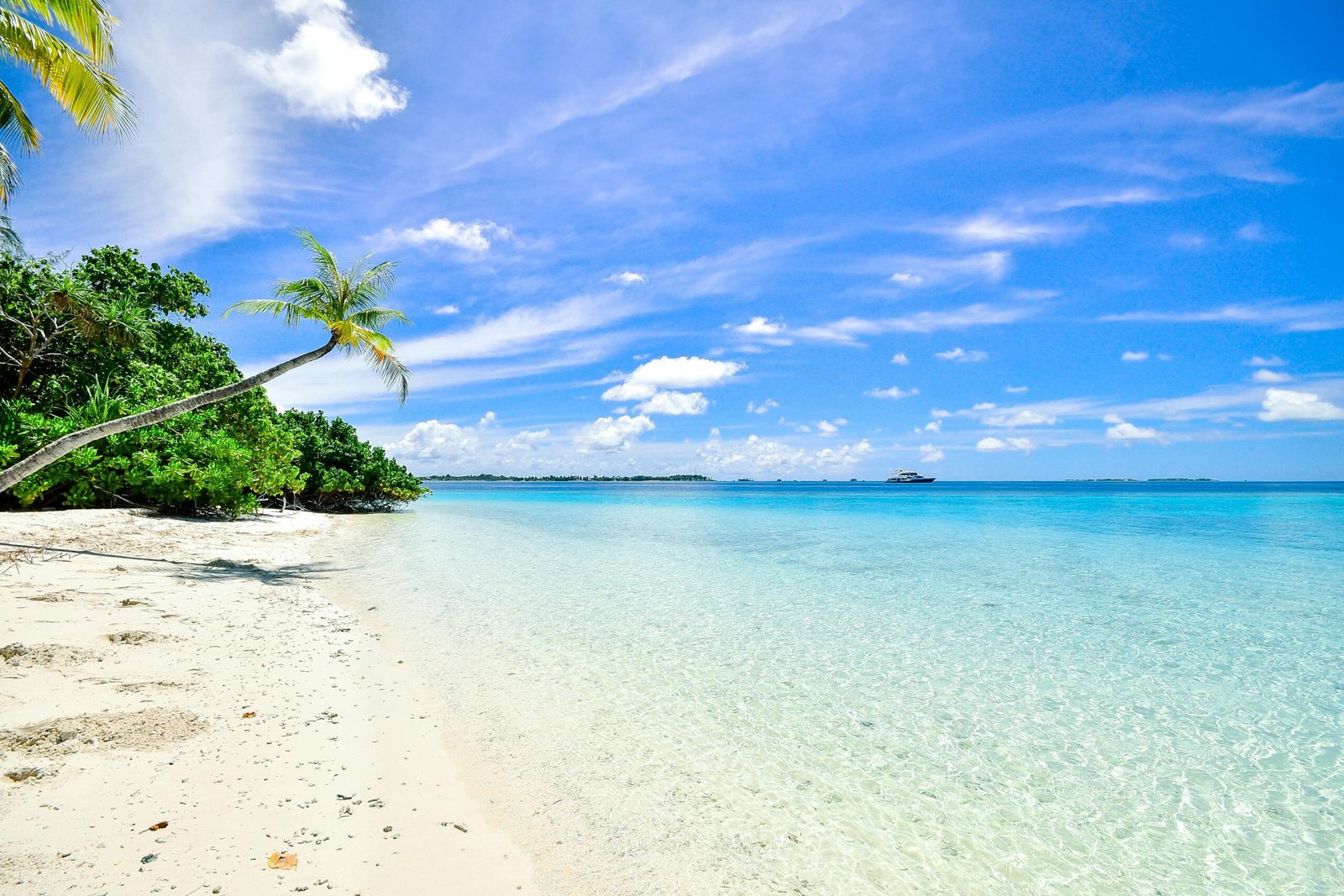 Discovering the Best 20 Beaches in the USA