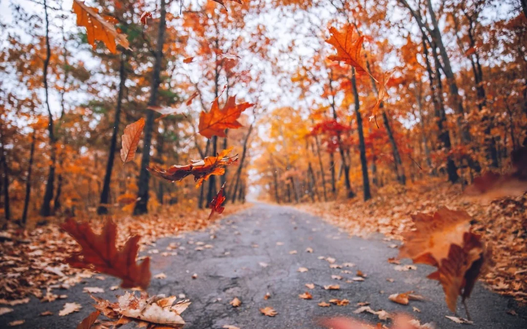 The Best Places to See Fall Foliage in the USA