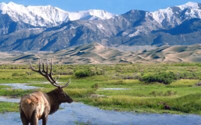 Is A U.S. Parks Pass Really Worth It?
