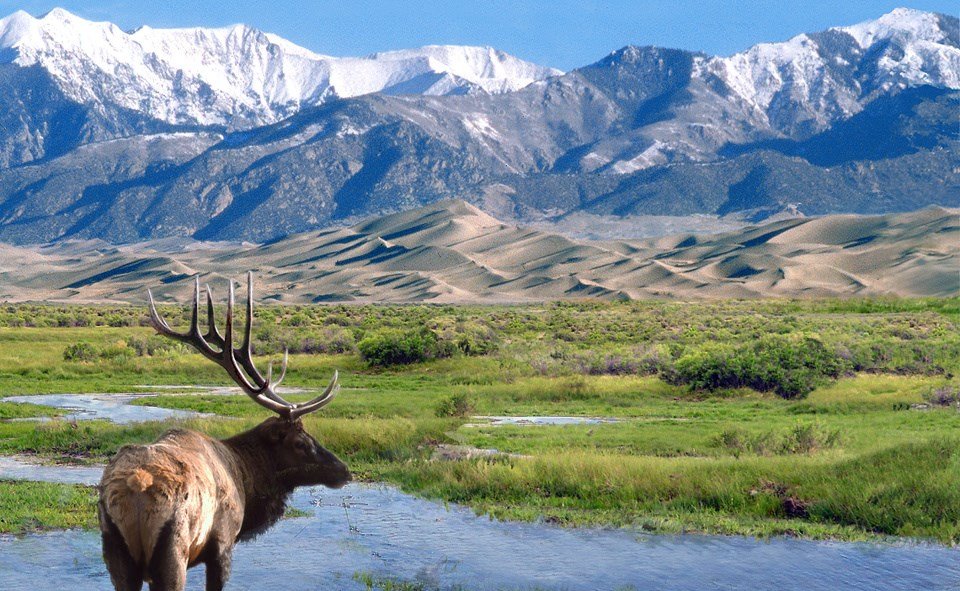 Is A U.S. Parks Pass Really Worth It?